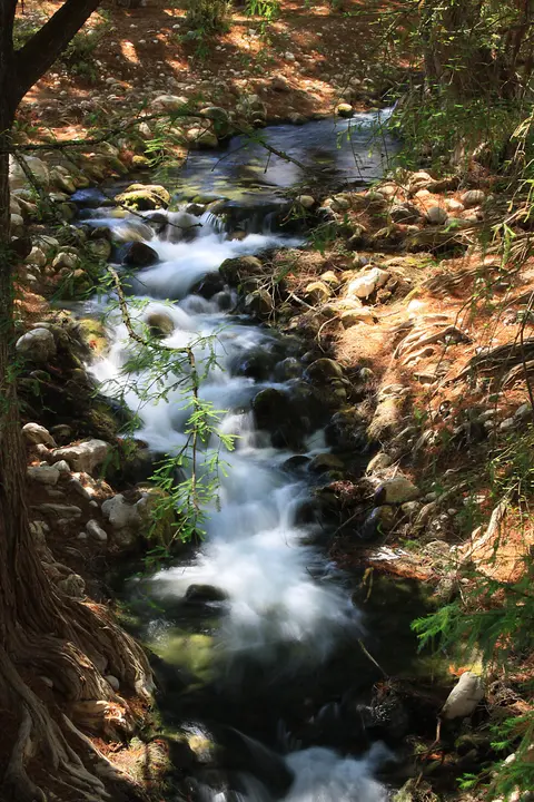 Ndutsa ka'nu xika yutsa ka'nu